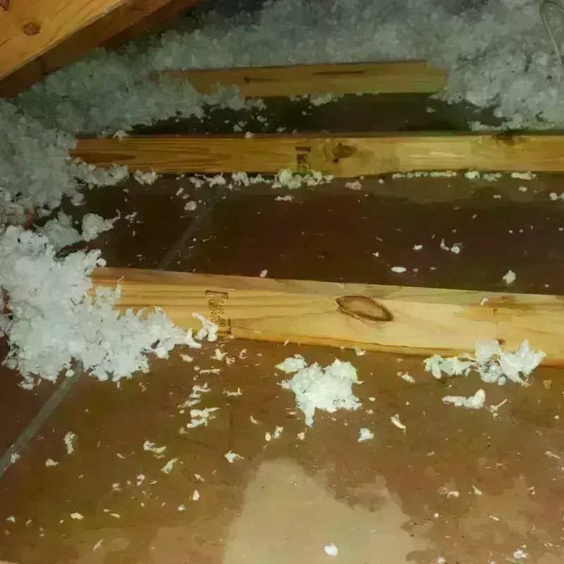 Attic Water Damage in Livingston, TN